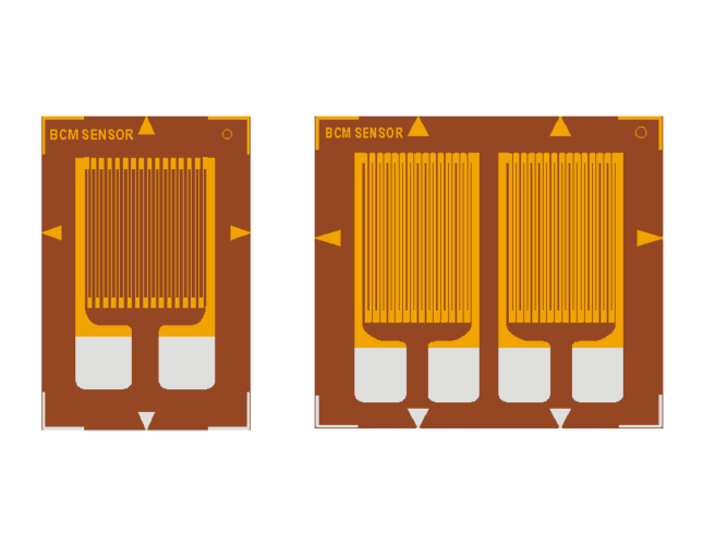 Linear Strain Gauges | BCM Sensor